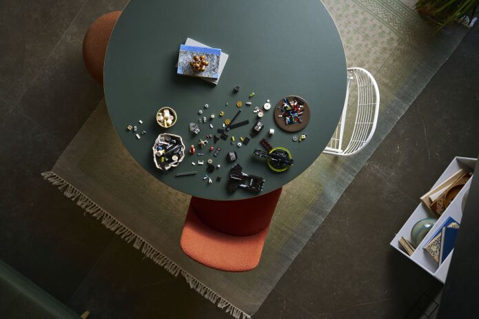 LEGO Icons Project Hail Mary (11389) (2)