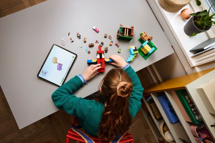 LEGO Minecraft The Parrot Houses (21282) (5)