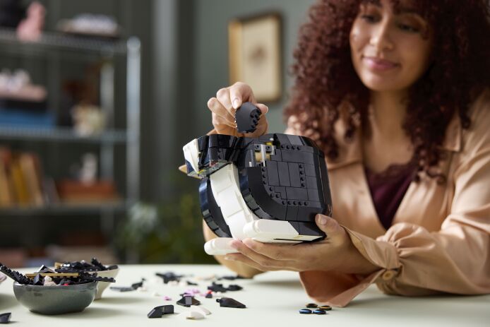 LEGO Ideas Tuxedo Cat (21349) (5)