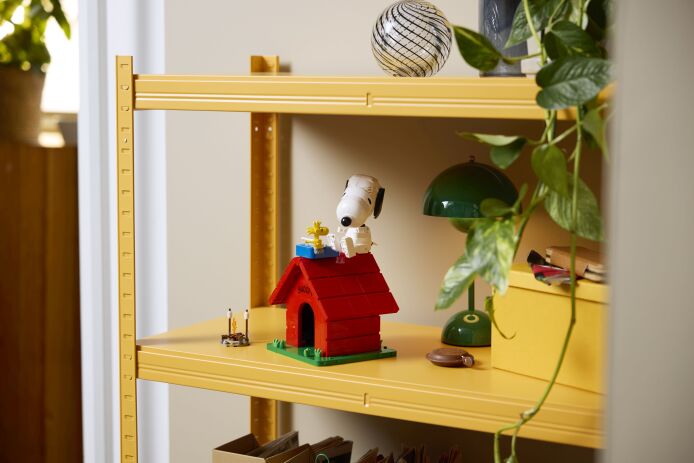 LEGO® Ideas Peanuts: Snoopy's Doghouse (21368) (12)