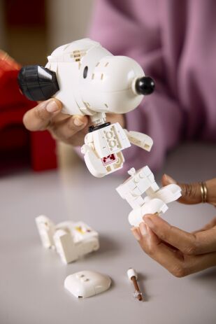 LEGO Ideas Peanuts: Snoopy's Doghouse (21368) (4)