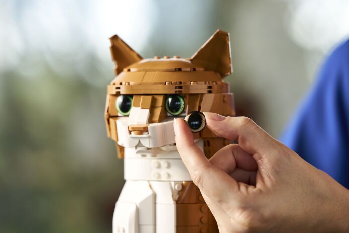 LEGO Ideas Orange Cat (21376) (10)