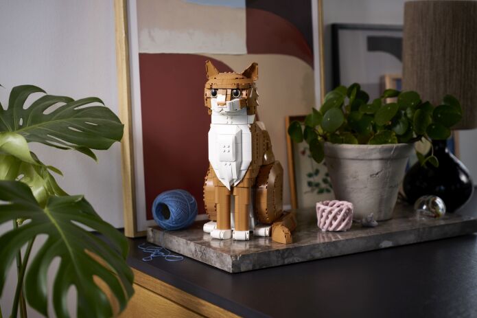 LEGO Ideas Orange Cat (21376) (13)