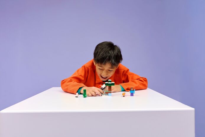 LEGO Minecraft Steve's Taiga Adventure (21583) (10)