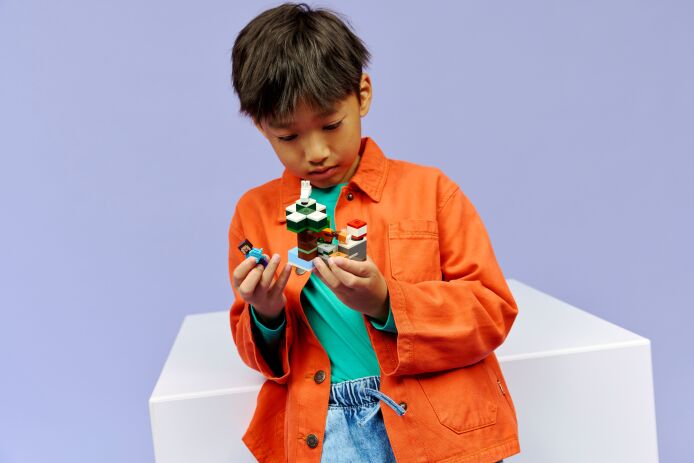 LEGO Minecraft Steve's Taiga Adventure (21583) (8)