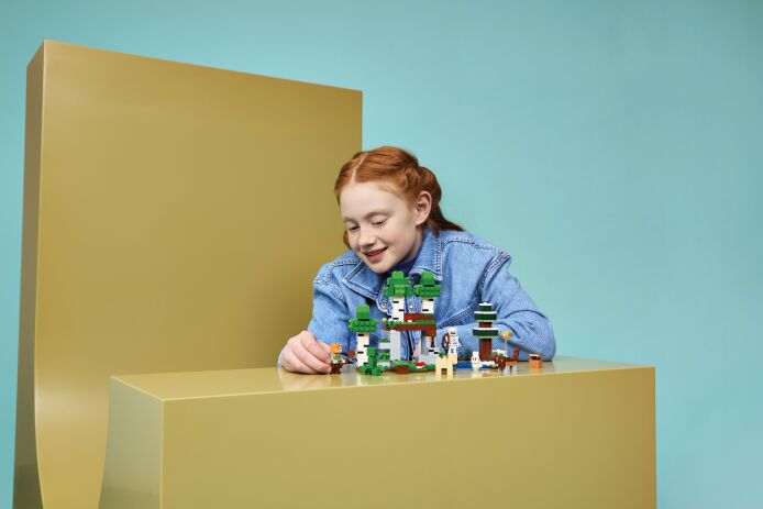 LEGO® Minecraft First Night Adventure (21593) (6)