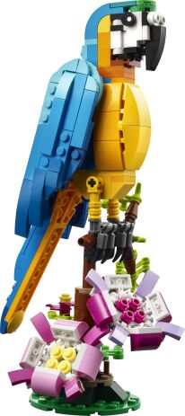 LEGO Creator 3in1 Exotic Parrot (31136) (1)