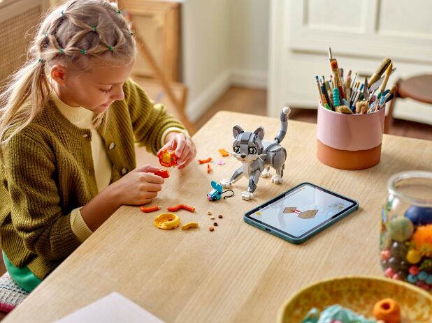 LEGO Creator 3in1 Playful Cat (31163) (5)
