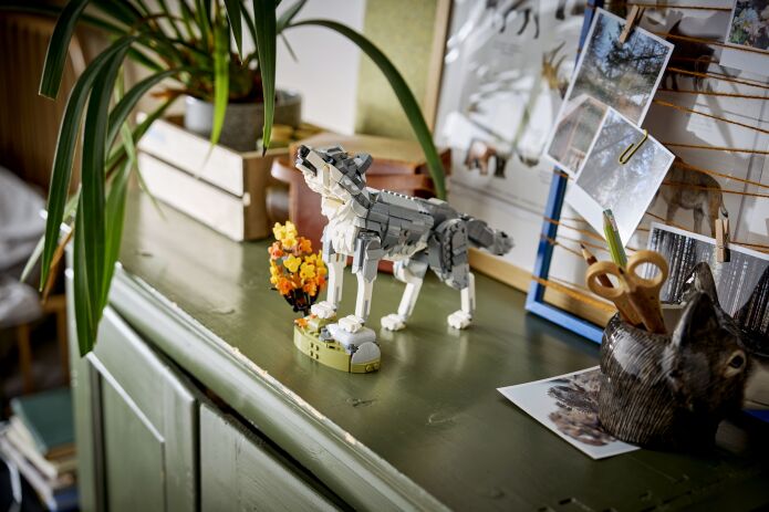 LEGO® Creator 3in1 Forest Animals: Gray Wolf (31393) (8)