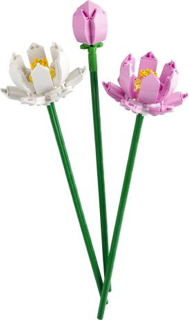 LEGO Botanical Lotus Flowers (40647) (1)