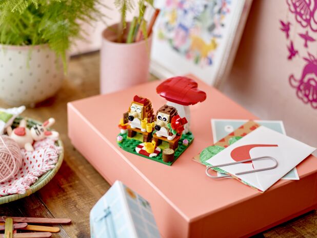 LEGO Hedgehog Picnic Date (40711) (2)