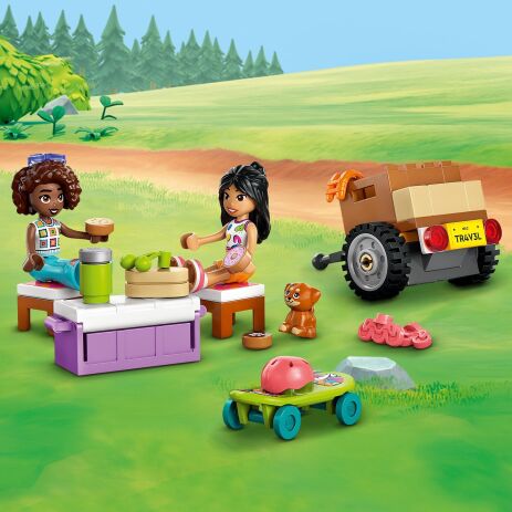 LEGO Friends Friendship Road-Trip Travel Car (42659) (3)