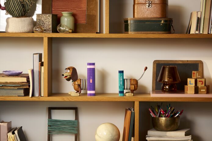 LEGO® Disney Toy Story Slinky Dog Bookends (43301) (16)