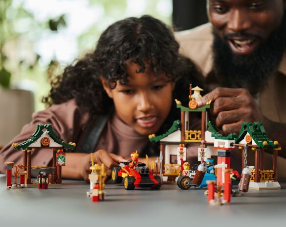 LEGO Ninjago Creative Ninja Brick Box (71787) (5)