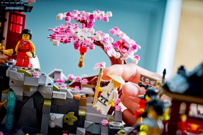 LEGO Ninjago The Old Town 15th Anniversary (71861) (6)