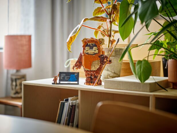 LEGO Star Wars Wicket The Ewok (75430) (8)