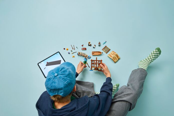 LEGO One Piece Windmill Village Hut (75636) (5)