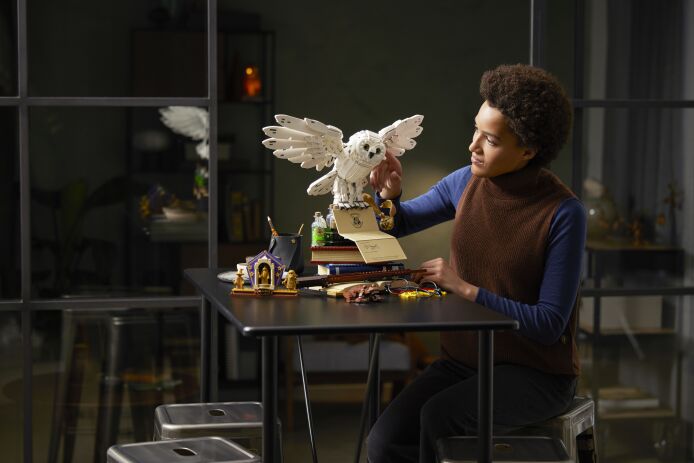 LEGO Harry Potter Hogwarts Icons - Collectors' Edition (76391) (9)