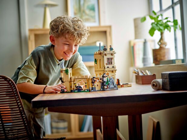 LEGO Harry Potter Hogwarts Castle: Flying Lessons (76447) (10)