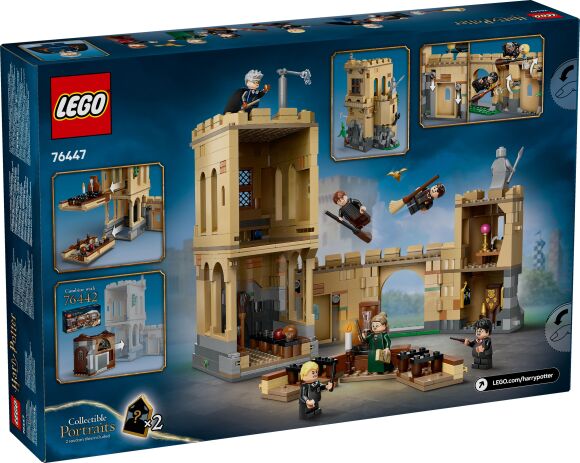 LEGO Harry Potter Hogwarts Castle: Flying Lessons (76447) (12)