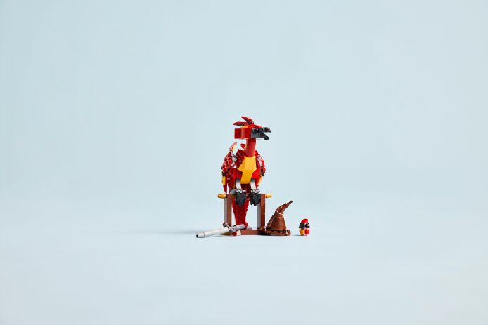 LEGO Harry Potter Fawkes: Dumbledore's Phoenix (76448) (8)