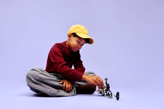 LEGO Harry Potter Hagrid & Harry's Privet Drive Escape (76459) (8)