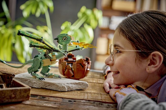 LEGO® Harry Potter Norbert: Hagrid's Baby Dragon (76477) (6)