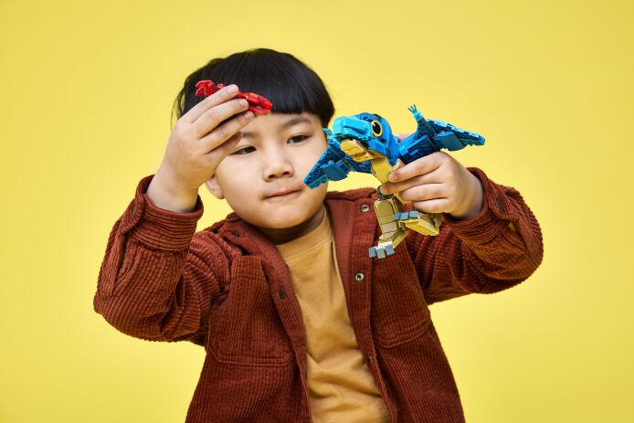 LEGO® Jurassic World Baby Dinosaur: Pteranodon (77977) (6)