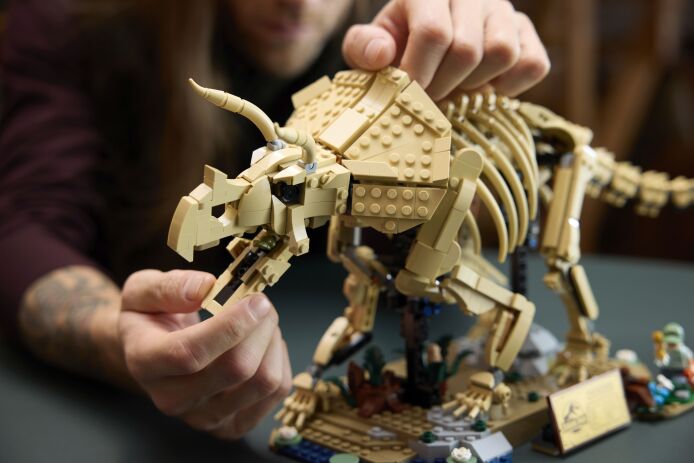 LEGO® Jurassic World Dinosaur Fossils: Triceratops (77985) (6)