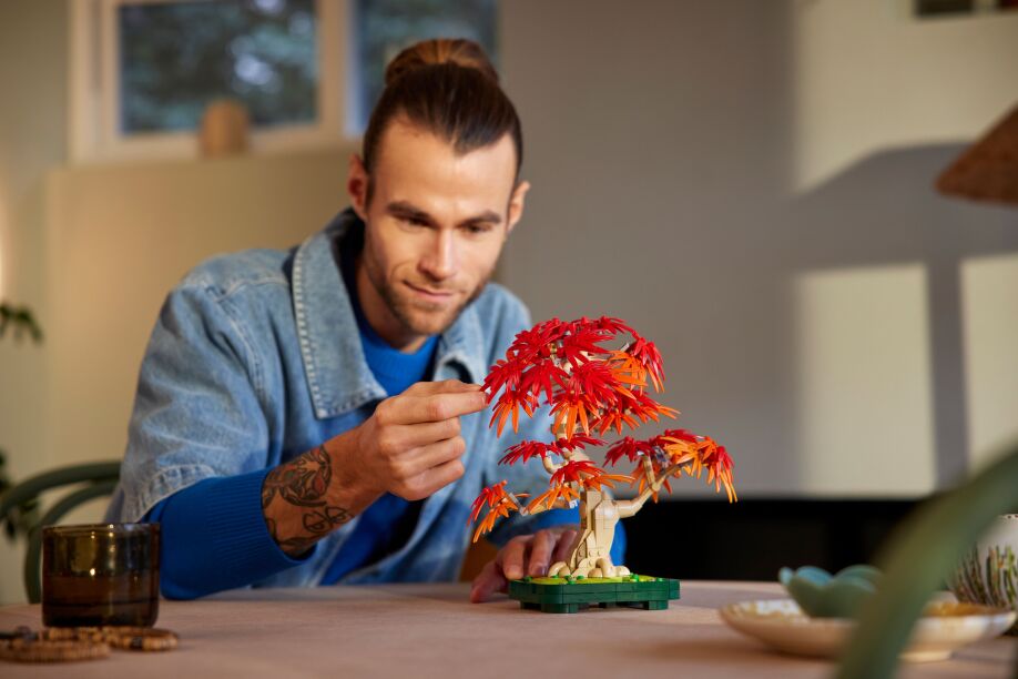 LEGO Botanical Japanese Red Maple Bonsai Tree (10348) (7)