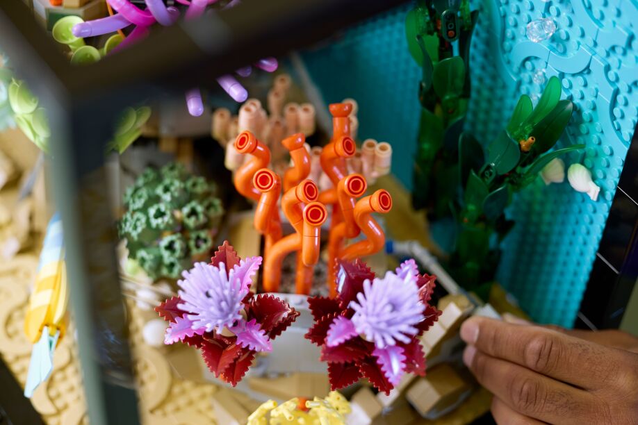 LEGO Icons Tropical Aquarium (10366) (7)