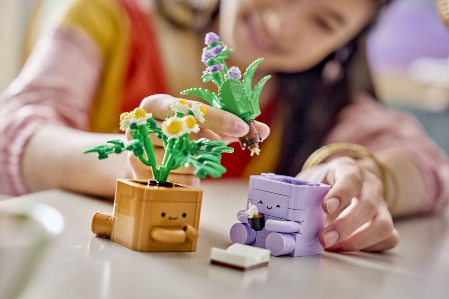 LEGO® Botanicals Cozy Plants (10371) (3)
