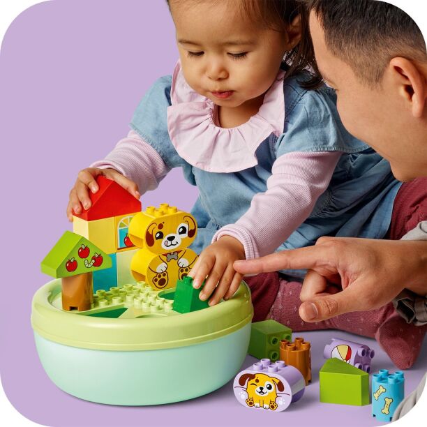 LEGO Duplo Shape Sorter: Puppy House (10441) (3)