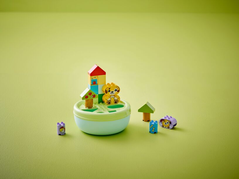 LEGO Duplo Shape Sorter: Puppy House (10441) (7)