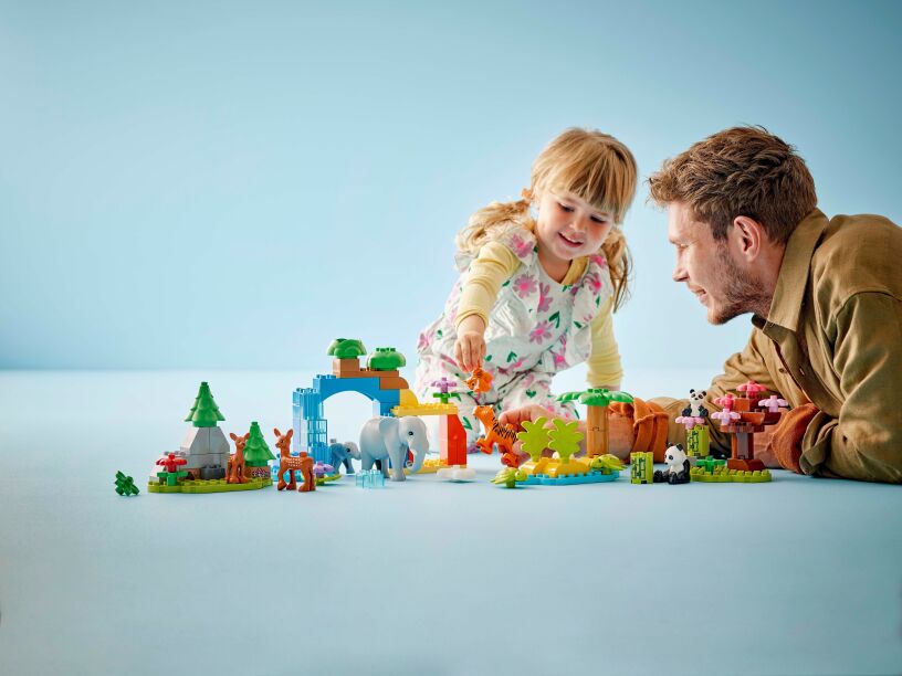 LEGO Duplo 3in1 Wild Animal Families (10446) (6)