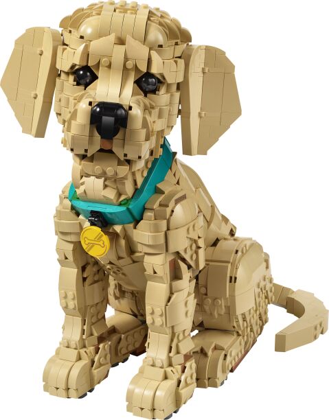 LEGO Icons Golden Retriever Puppy (11384) (1)