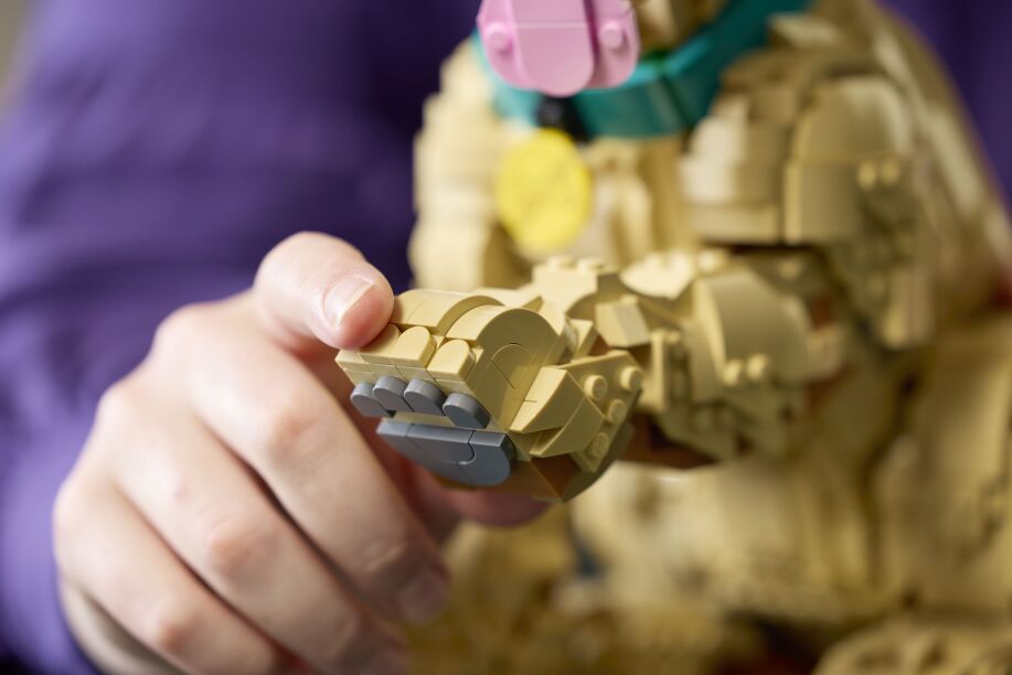 LEGO Icons Golden Retriever Puppy (11384) (11)