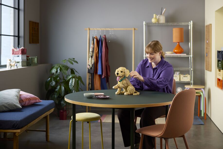 LEGO Icons Golden Retriever Puppy (11384) (13)