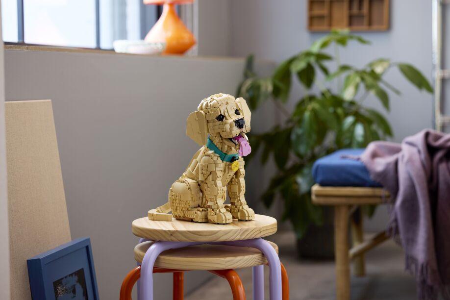 LEGO Icons Golden Retriever Puppy (11384) (15)