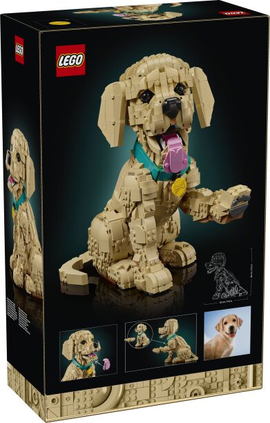 LEGO Icons Golden Retriever Puppy (11384) (16)
