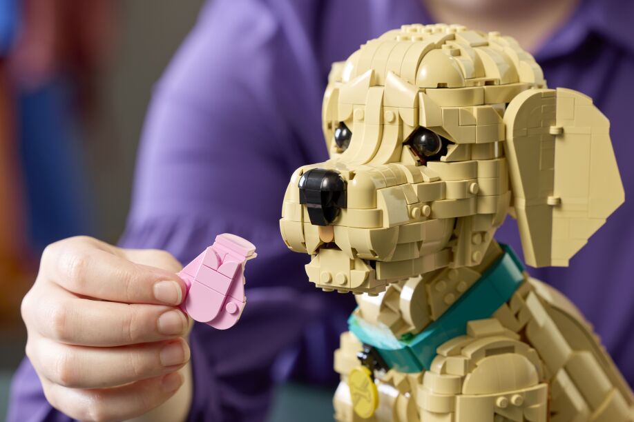 LEGO Icons Golden Retriever Puppy (11384) (7)