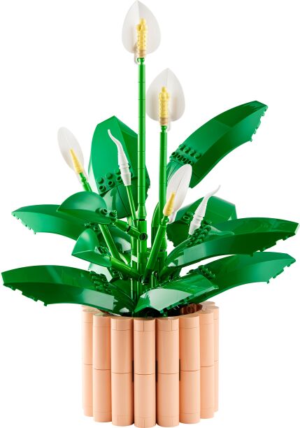 LEGO Botanical Peace Lily (11504) (1)