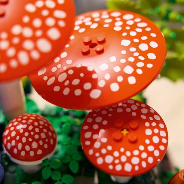 LEGO® Botanicals Woodland Mushrooms (11505) (2)