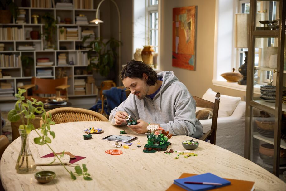 LEGO® Botanicals Woodland Mushrooms (11505) (5)