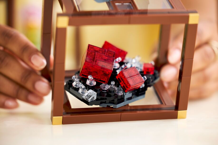LEGO Ideas Mineral Collection (21362) (7)
