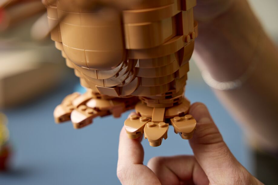 LEGO® Ideas E.T. The Extra-Terrestrial (21370) (4)