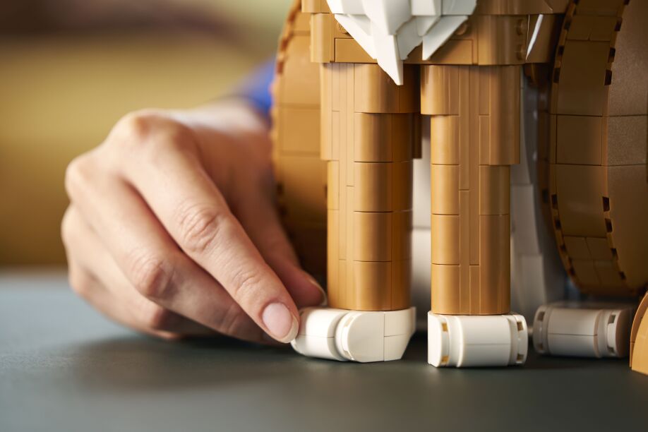 LEGO Ideas Orange Cat (21376) (11)