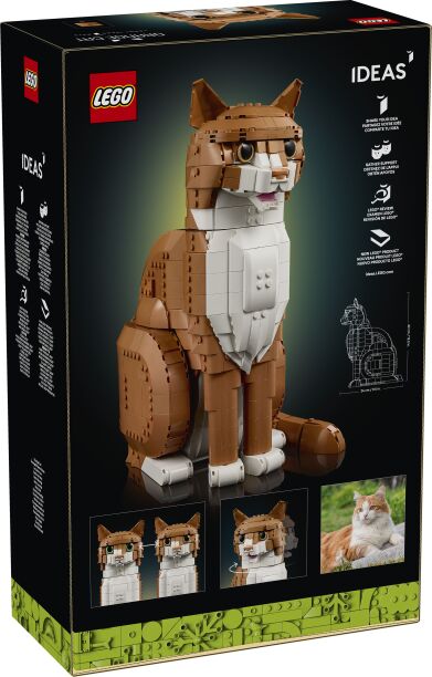 LEGO Ideas Orange Cat (21376) (14)