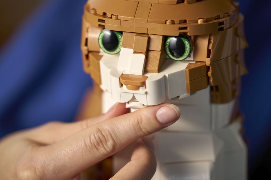 LEGO Ideas Orange Cat (21376) (9)