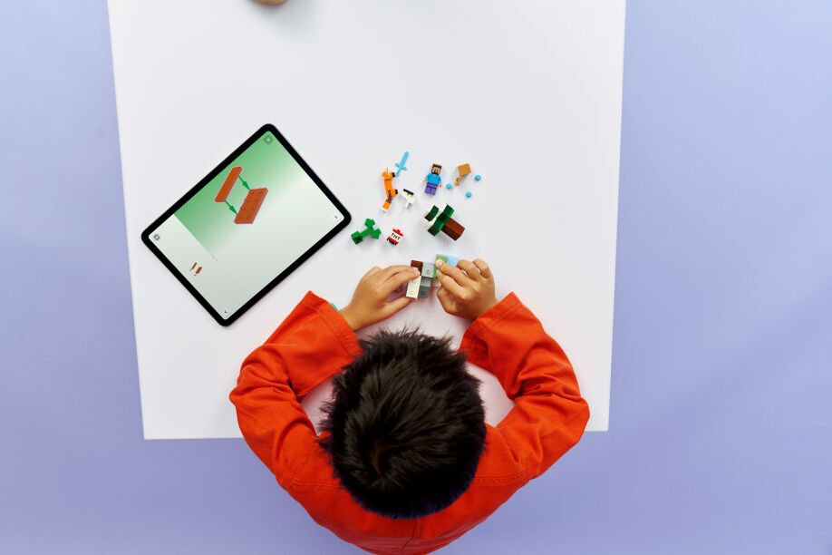 LEGO Minecraft Steve's Taiga Adventure (21583) (5)